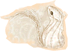 リスの絵